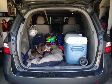 Our van packed and ready to go. Did I mention we took our dog? 